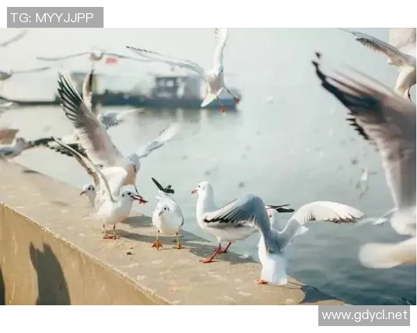 就指望你了&支楞起来啊!福克斯上半场7中1得4分1板3助1断 就指望你了&支楞起来啊!福克斯上半场7中1得4分1板3助1断